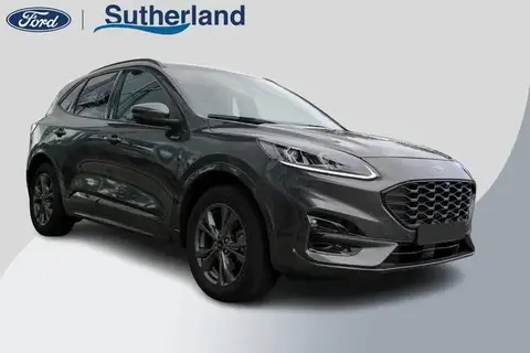 Annonce FORD KUGA Hybride 2020 d'occasion 