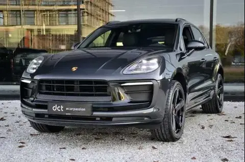 Used PORSCHE MACAN Petrol 2024 Ad 