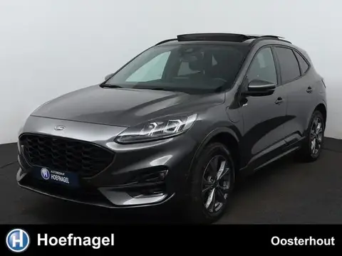 Annonce FORD KUGA Hybride 2022 d'occasion 