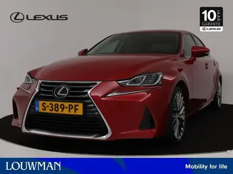 Used LEXUS IS Hybrid 2019 Ad 