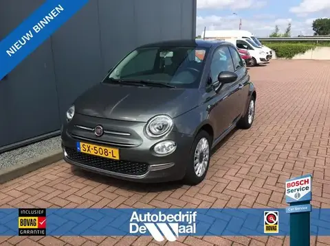 Used FIAT 500 Petrol 2017 Ad 