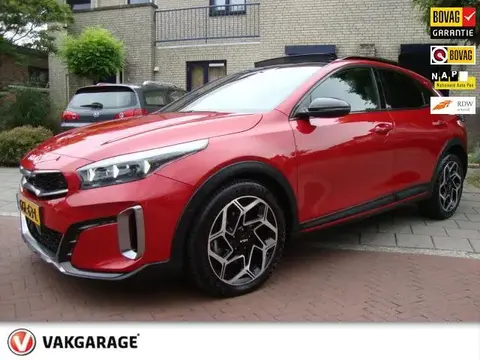 Used KIA XCEED Petrol 2023 Ad 