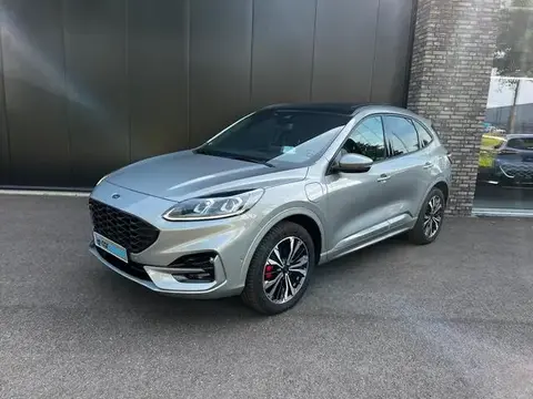 Annonce FORD KUGA Hybride 2023 d'occasion 