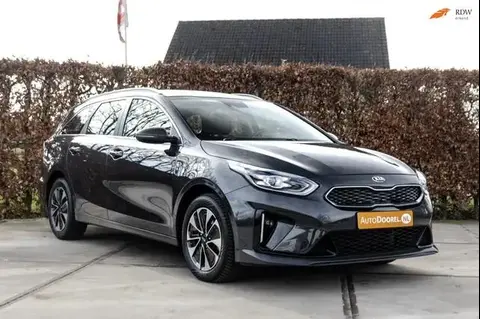 Annonce KIA CEED Hybride 2021 d'occasion 