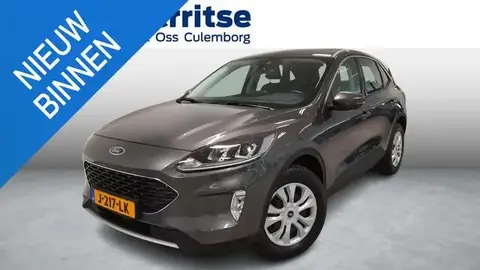 Annonce FORD KUGA Essence 2020 d'occasion 