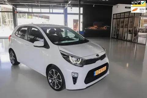 Used KIA PICANTO Petrol 2019 Ad 