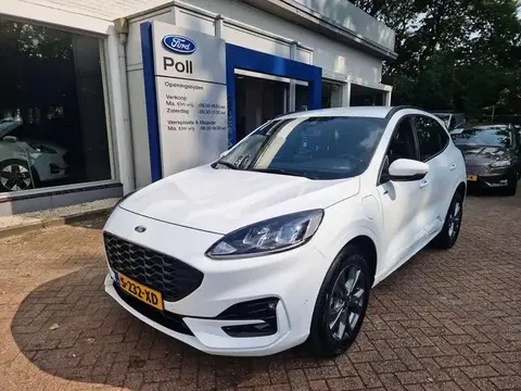 Annonce FORD KUGA Hybride 2023 d'occasion 