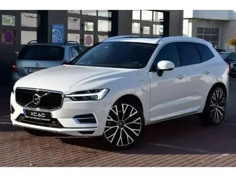 Used VOLVO XC60 Electric 2018 Ad 