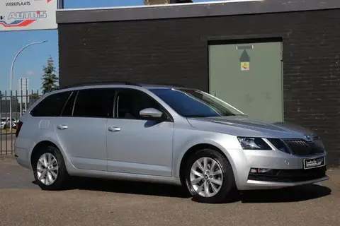 Used SKODA OCTAVIA Petrol 2019 Ad 