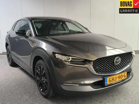 Annonce MAZDA CX-30 Hybride 2023 d'occasion 