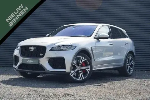 Used JAGUAR F-PACE Petrol 2019 Ad 