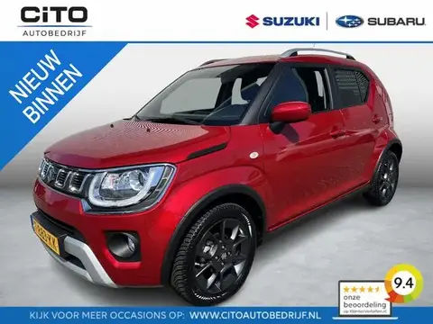 Used SUZUKI IGNIS Hybrid 2023 Ad 