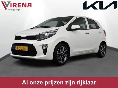 Used KIA PICANTO Petrol 2023 Ad 