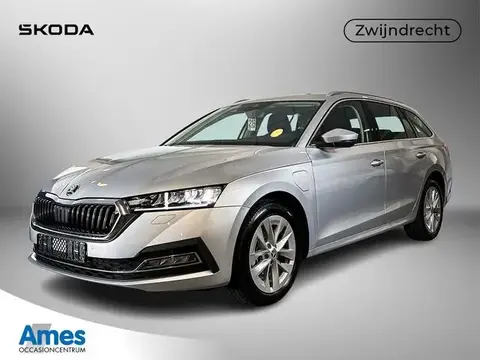 Annonce SKODA OCTAVIA Hybride 2024 d'occasion 