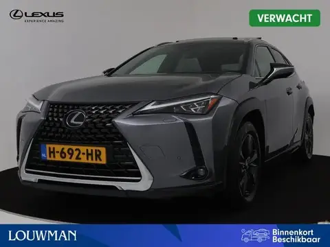 Used LEXUS UX Hybrid 2020 Ad 