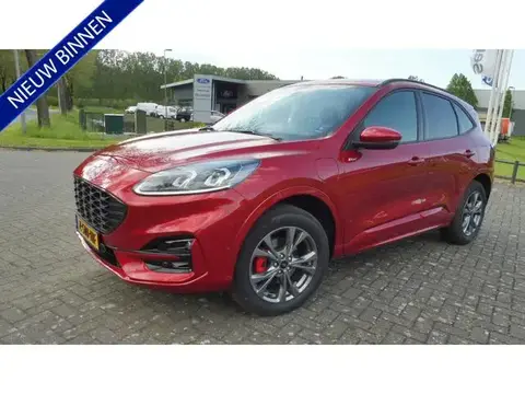 Annonce FORD KUGA Hybride 2023 d'occasion 