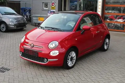 Annonce FIAT 500 Essence 2019 d'occasion 