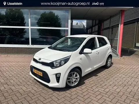 Used KIA PICANTO Petrol 2019 Ad 