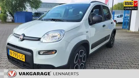 Used FIAT PANDA Hybrid 2021 Ad 