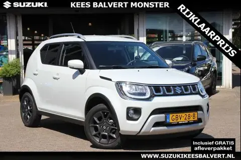 Used SUZUKI IGNIS Hybrid 2024 Ad 