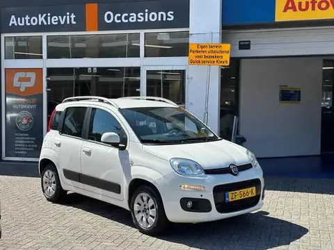 Annonce FIAT PANDA Essence 2019 d'occasion 