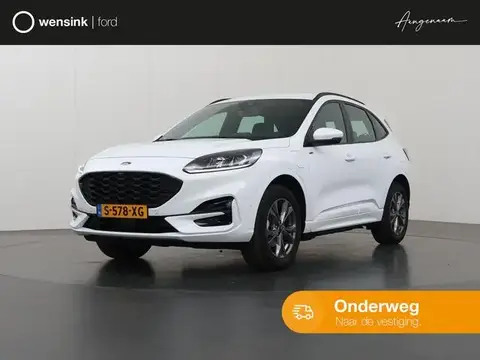 Annonce FORD KUGA Hybride 2023 d'occasion 