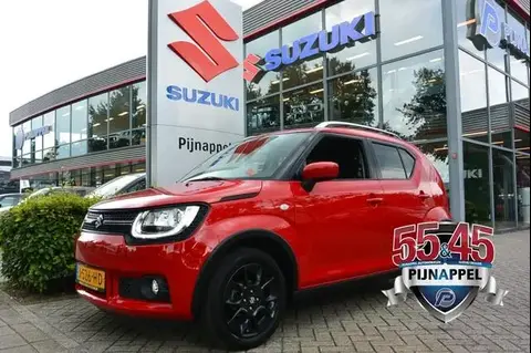 Used SUZUKI IGNIS Petrol 2020 Ad 