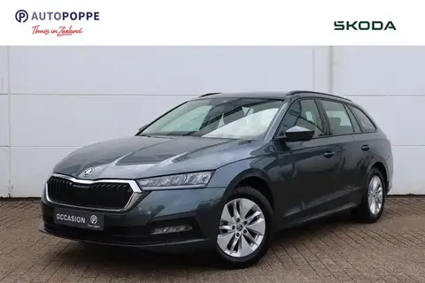 Used SKODA OCTAVIA Petrol 2020 Ad 