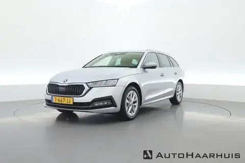 Used SKODA OCTAVIA Petrol 2023 Ad 