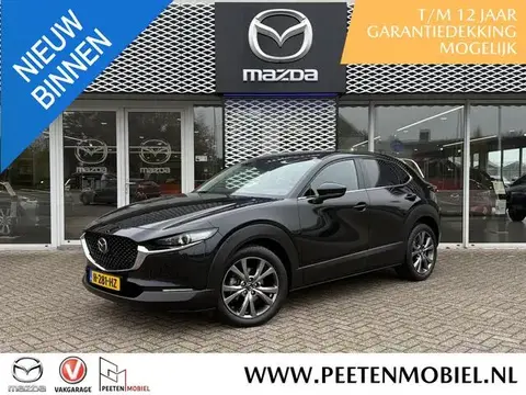 Used MAZDA CX-30 Hybrid 2020 Ad 