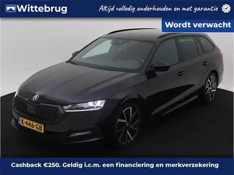 Used SKODA OCTAVIA Petrol 2020 Ad 