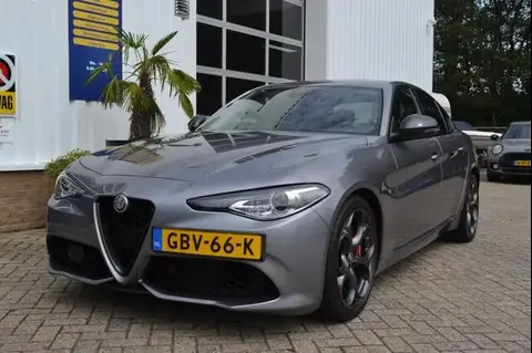 Used ALFA ROMEO GIULIA Diesel 2019 Ad 