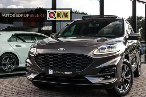 Annonce FORD KUGA Hybride 2022 d'occasion 