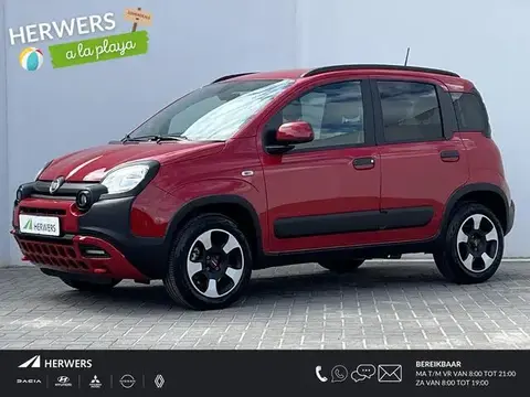 Annonce FIAT PANDA Essence 2023 d'occasion 