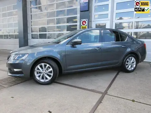 Used SKODA OCTAVIA Petrol 2019 Ad 