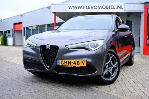 Used ALFA ROMEO STELVIO Diesel 2019 Ad 