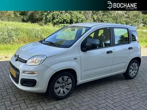 Annonce FIAT PANDA Essence 2017 d'occasion 