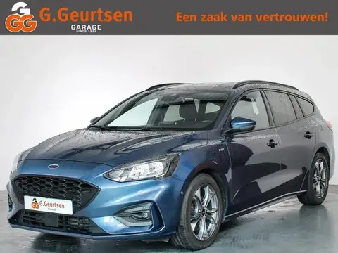 Used FORD FOCUS Petrol 2019 Ad 