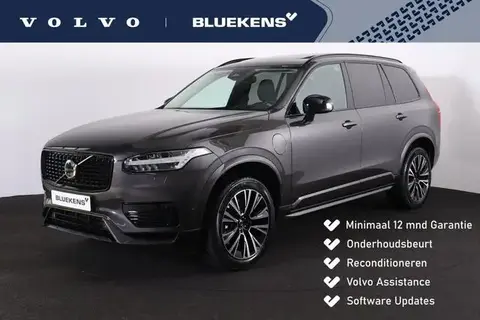 Annonce VOLVO XC90 Hybride 2023 d'occasion 