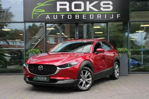 Annonce MAZDA CX-30 Essence 2023 d'occasion 