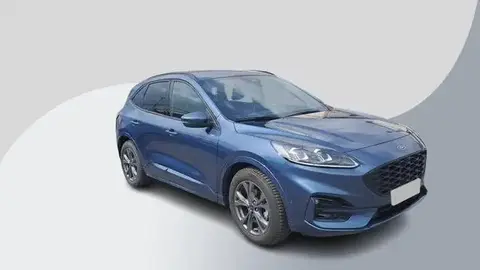 Annonce FORD KUGA Hybride 2023 d'occasion 