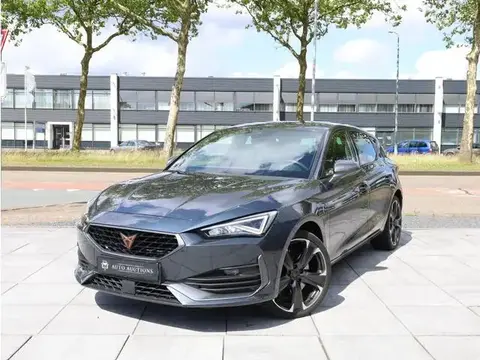 Annonce CUPRA LEON Hybride 2021 d'occasion 