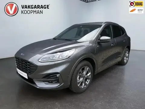 Annonce FORD KUGA Hybride 2023 d'occasion 