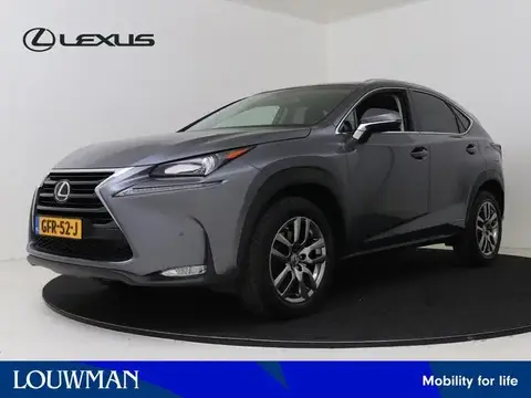 Used LEXUS NX Hybrid 2015 Ad 