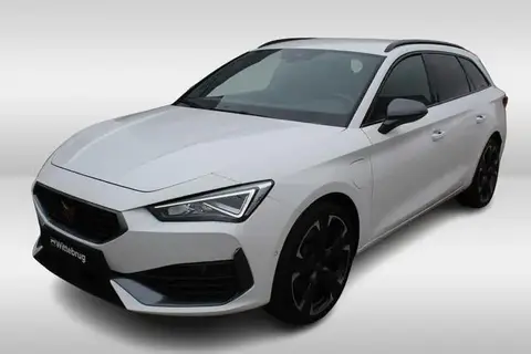 Used CUPRA LEON Hybrid 2021 Ad 