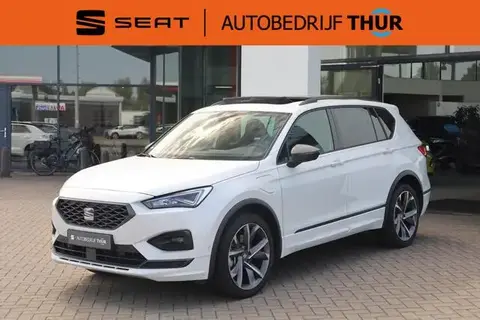 Used SEAT TARRACO Hybrid 2024 Ad 