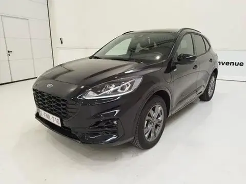 Used FORD KUGA Not specified 2024 Ad 