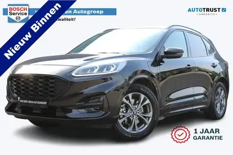 Used FORD KUGA Hybrid 2020 Ad 