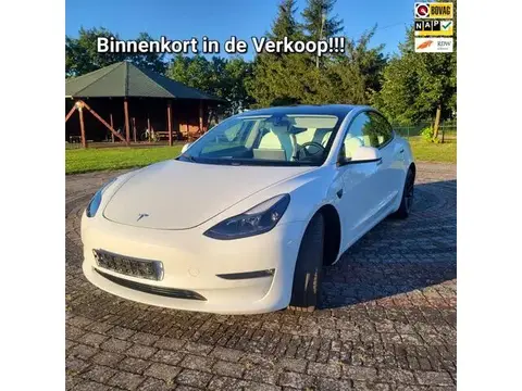 Annonce TESLA MODEL 3 Électrique 2021 d'occasion 