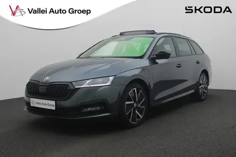 Annonce SKODA OCTAVIA Hybride 2021 d'occasion 